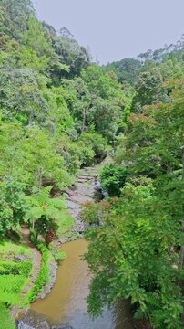 Tropical waterfall cascading into river surrounded by lush green jungle foliage