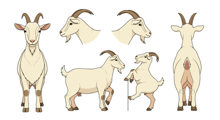 Fototapeta premium A set of vector goat illustrations in various poses and angles on a white background