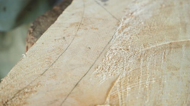 Closeup marked wood surface with sawdust, pencil guide lines and curved cut visible, rough edge and fine wood shavings, warm workshop light, craftsman measuring curve for precise joinery and final