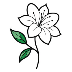 Obraz premium vector illustration of a flower