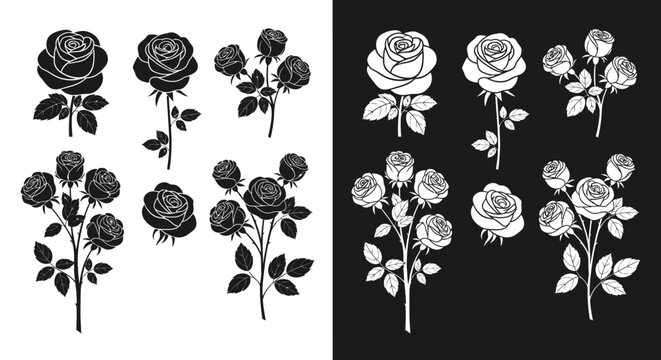 Black and white roses vector graphics, elegant floral designs, classic botanical illustrations, detailed rose bouquets, romantic flower art, vintage bloom patterns, artistic rose silhouettes