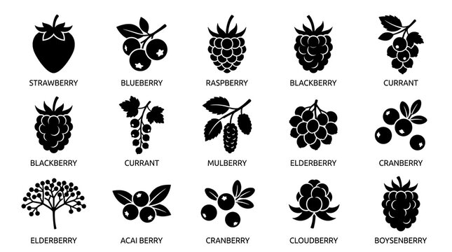 Various types of berry icons.
