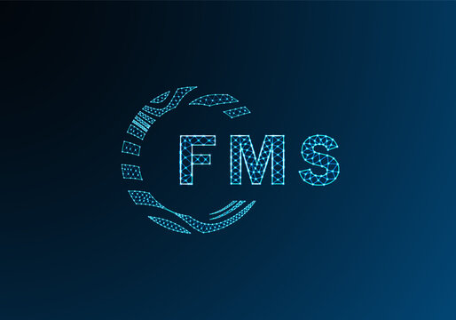 FMS low poly letter logo vector design. FMS lower poly logo design. FMS unique low poly logo design.