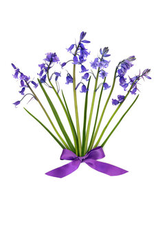 Bluebell Spring wildflower abstract floral design with purple bow on white background, seasonal flower arrangement for logo, greeting card.