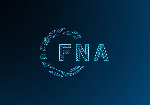 FNA low poly letter logo vector design. FNA lower poly logo design. FNA unique low poly logo design.