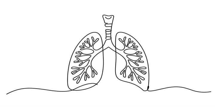 Continuous line drawing of human lungs showing the trachea and bronchial tree in a minimalist style