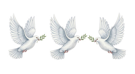 Fototapeta premium Three white doves flying with olive branches in their beaks, isolated on a transparent background for design and illustration purposes
