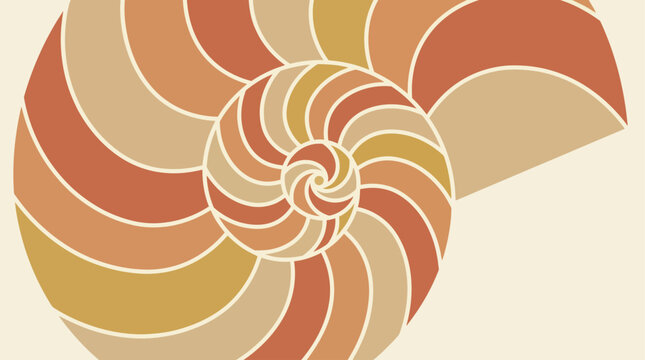 Geometric Nautilus Cross Section Vector
