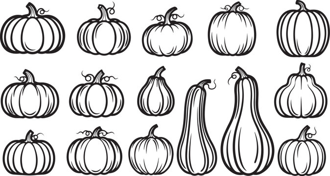 Hand drawn pumpkin icons, 15 autumn squash vectors, black line art
