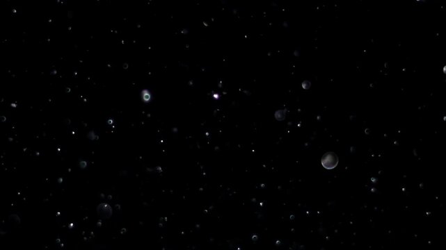 Particle sparking overlay for films and content, improving scene quality and storytelling depth