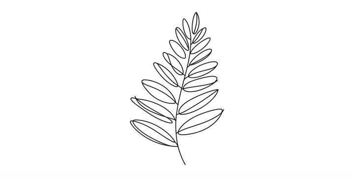 Minimalist black line drawing of a pinnate leaf with many small leaflets on a white background.