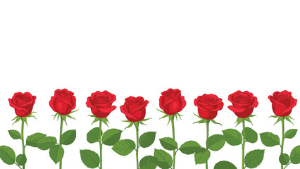 Obraz premium Horizontal row of beautiful red roses with green stems and leaves standing in a line against a clean white background.