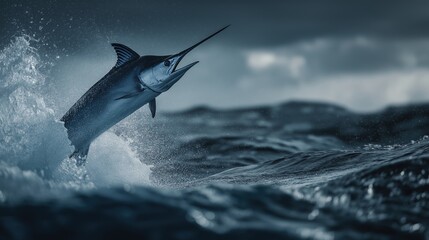 Fototapeta premium Majestic Marlin Leaps From Ocean Waves