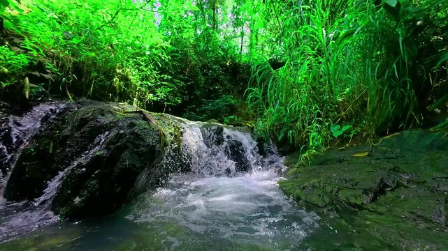Beautiful mini waterfall flowing between mossy rocks in green forest