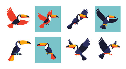 Four toucans in various poses a vibrant design on transparent background silhouette © MD