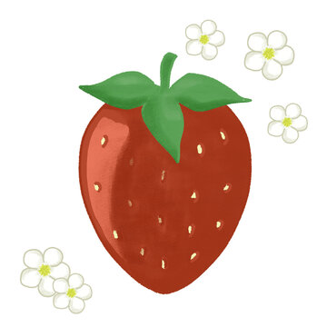 いちごといちごの花のイラスト