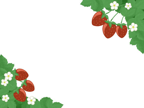 いちごといちごの花のフレーム