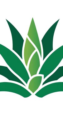 Green Agave Plant Logo Animation Loop Minimalist Motion Graphic