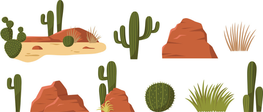 Desert Cactus Vector Collection Illustration