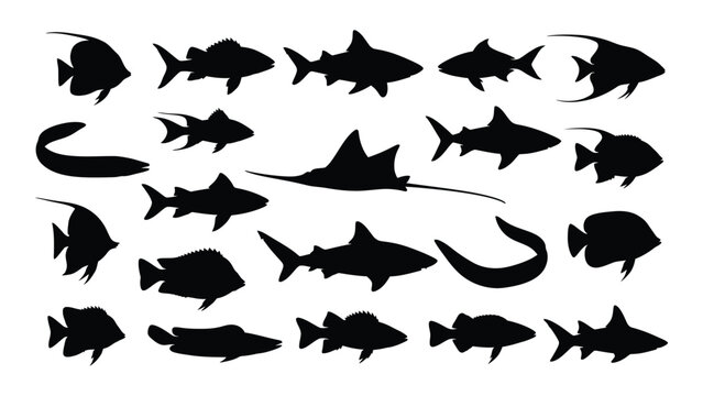 A collection of various fish species are depicted in stark black silhouettes against a white background silhouette high quality professional detailed