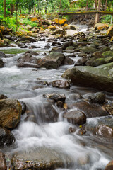 Fototapeta premium mountain river in the rainforest