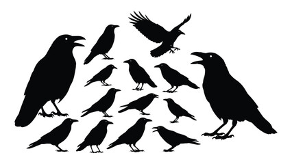 Obraz premium A collection of black ravens depicted in various poses against a white background showcasing a striking silhouette high quality professional detailed