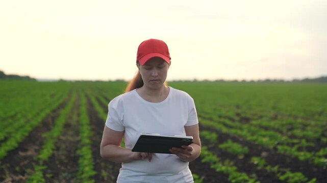 Agriculture, Woman walking in green rows, Tablet-assisted crop analysis, Digital improvement in agriculture, Woman on modern farm, Precision fieldwork tech, Farm inspection advanced, Green plant
