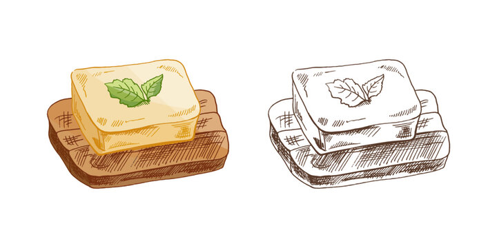 Hand drawn vintage sketch of butter block on bread slice with mint leaf colored and monochrome set illustration
