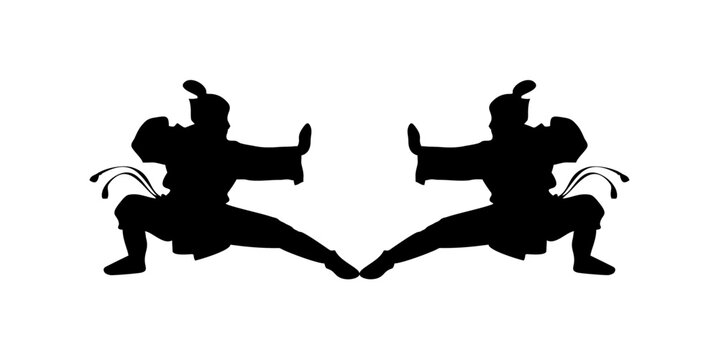 silhouette of a kung fu fighter