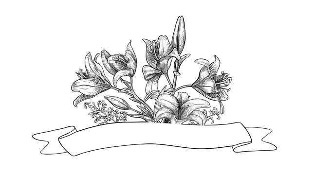 Lily flower bouquet with ribbon scroll banner and empty space for text. Hand drawn engraving vector illustration of floral composition. Monochrome graphic sketch for Easter card or memorial ceremony.