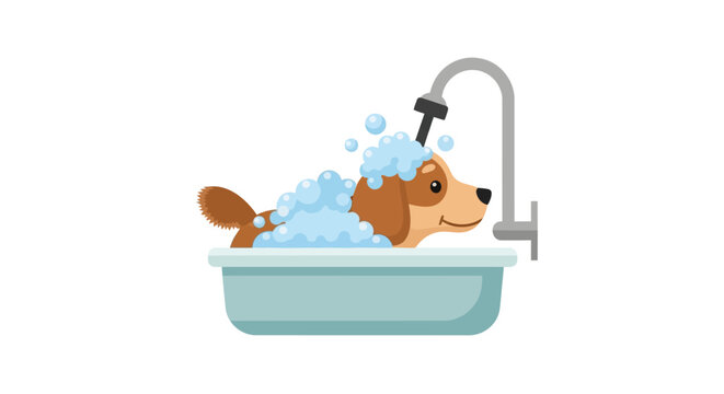 Corgi Dog Taking a Bath.