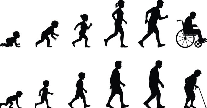 Human life stages silhouette, growth from baby to elderly, aging process, development timeline, evolution concept, childhood adulthood senior disability wheelchair