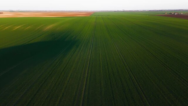 Aerial view of land divided between green and brown agricultural fields, casting a large shadow, Jazak, Vojvodina, Serbia.