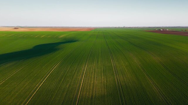 Aerial view of vibrant green fields contrasting with earthy brown patches, creating a beautiful agricultural landscape, Jazak, Vojvodina, Serbia.