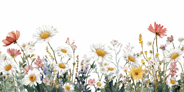 Watercolor border of blooming wildflowers  white daisies, pink cosmos and yellow chamomile  soft, pastel botanical artwork evoking spring and summer meadow charm and serenity