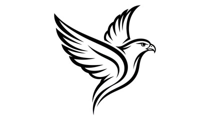 Obraz premium Adobe Illustrator Artwork