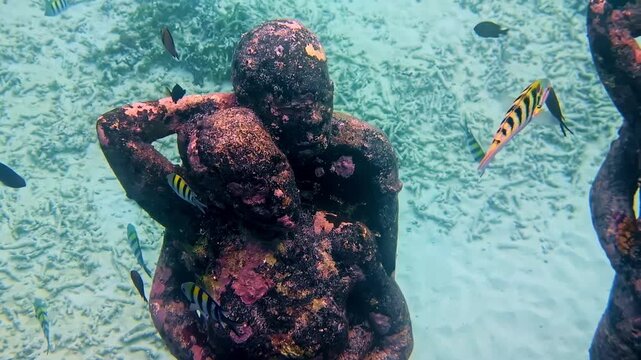 Underwater human statue embracing with coral reef and tropical fish