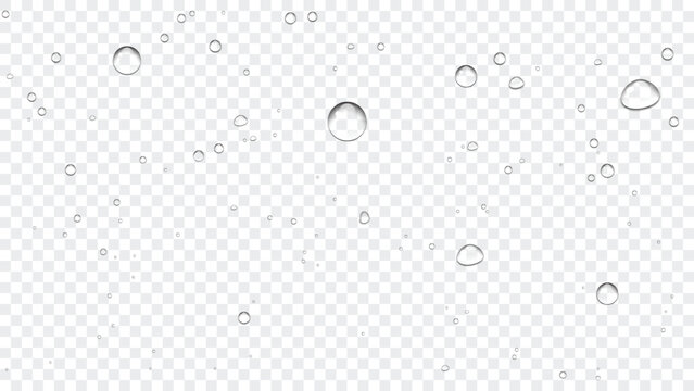  Realistic water drops overlay, clean rain droplets on transparent background vector
