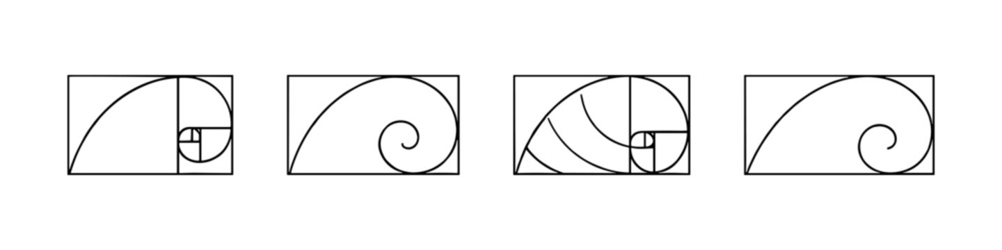 Golden ratio spirals and rectangles illustrating mathematical sequence and proportion