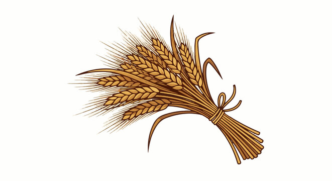 A bunch of golden wheat stalks tied with a simple twine knot