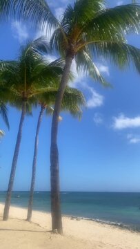 On the beach empty near the Le Meridien Ile Maurice, 
Pointe aux Biches, Pamplemousses District, Mauritius