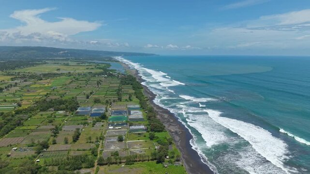 Aerial view of the coastline with crashing waves meeting the dark sands contrasting with the adjacent lush green landscape, Bantul Regency, Indonesia.