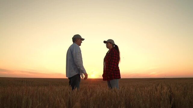 farmer woman and man using tablet in golden wheat field., sustainable farming alliance sealed by handshake, farmer man guides woman using tablet through tall wheat field., woman and man farmer team