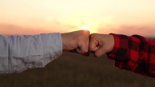 shake, negotiate, successful, team, teamwork group people, essence agreement cooperation, agriculture, wheat field emphasizing, golden hour, growth, pad, investor, trust, trust and partnership