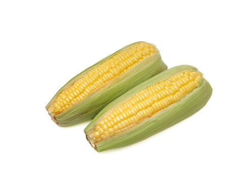 corn on a white background