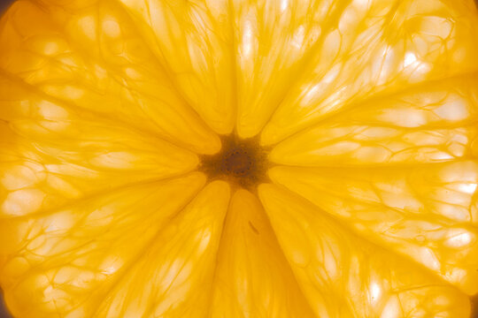 Scientific style illustration showcasing orange segment veins and glow. Precise artwork of orange crosssection emphasizing vein patterns and luminous background ambiance