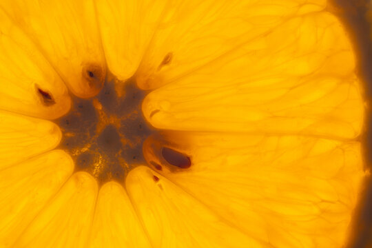 Radiant orange segment with seeds. Backlit vivid orange slice showing detailed interior. Illuminated juicy orange wedge revealing intricate pulp and seed structure