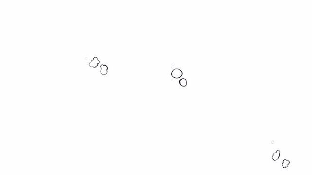 Set of dynamic text bubble animation. Dynamic handdrawn speech and thought bubbles on transparent for creativity, messages. Ideas for presentations, social media, and design projects. Alpha channel.