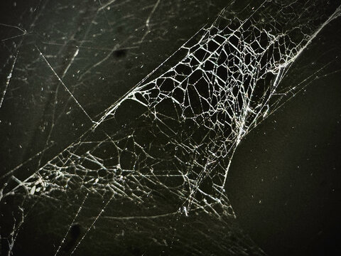 Old web spide,cobwebs cover on wall.Insect catching machine,