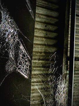 Old web spide,cobwebs cover on wall.Insect catching machine,
